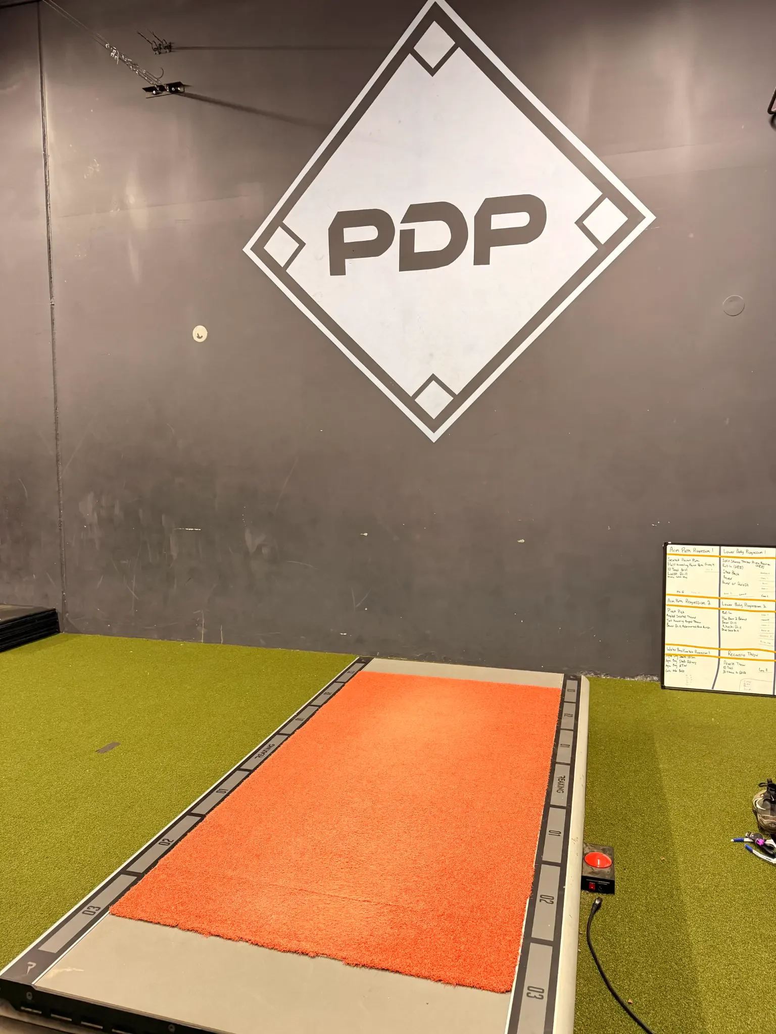 PDP logo wall with training mat